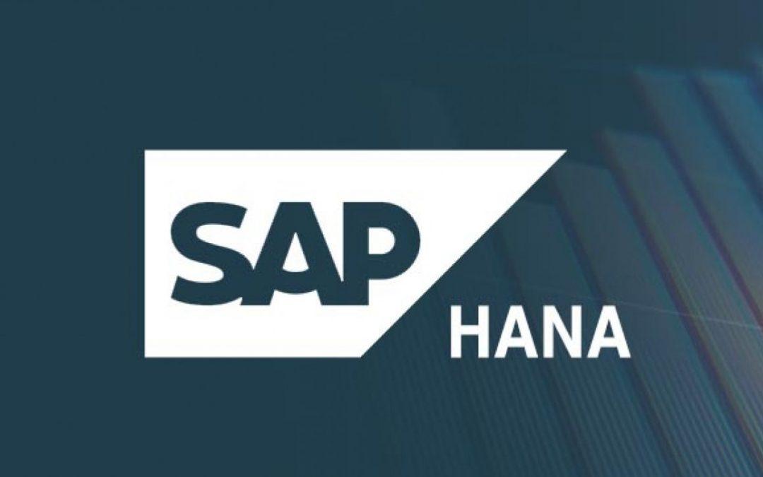 Instant Data Warehouses for SAP Applications
