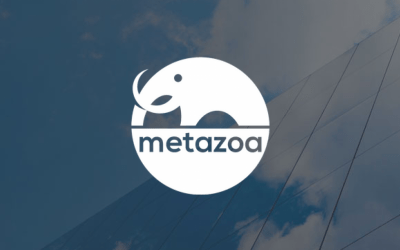 Sesame Software Teams with Metazoa On Streamlined Metadata Solution