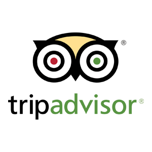 Trip Advisor logo in original colors.