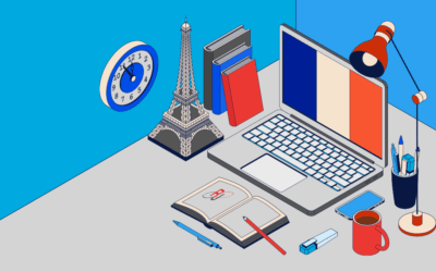 Data Compliance Reform: France Announcing New Regulations