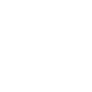 Trip Advisor logo in original colors.